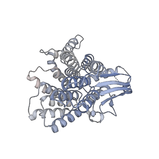 19023_8ras_G_v1-1
Plastid-encoded RNA polymerase transcription elongation complex