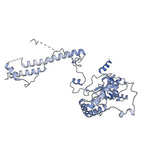 19023_8ras_H_v1-1
Plastid-encoded RNA polymerase transcription elongation complex