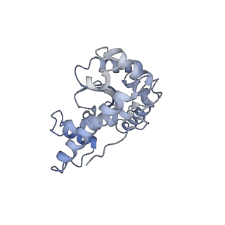 19023_8ras_I_v1-1
Plastid-encoded RNA polymerase transcription elongation complex