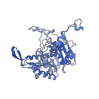 19023_8ras_K_v1-1
Plastid-encoded RNA polymerase transcription elongation complex