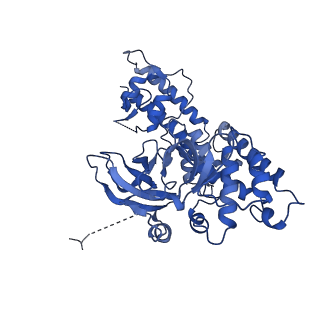 19023_8ras_L_v1-1
Plastid-encoded RNA polymerase transcription elongation complex