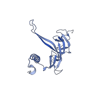 19023_8ras_M_v1-1
Plastid-encoded RNA polymerase transcription elongation complex
