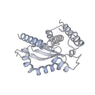 19023_8ras_N_v1-1
Plastid-encoded RNA polymerase transcription elongation complex