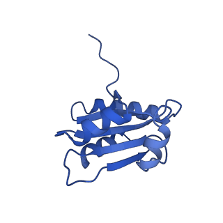 19023_8ras_O_v1-1
Plastid-encoded RNA polymerase transcription elongation complex