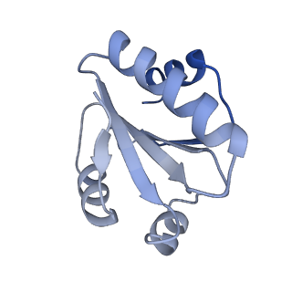 19023_8ras_P_v1-1
Plastid-encoded RNA polymerase transcription elongation complex