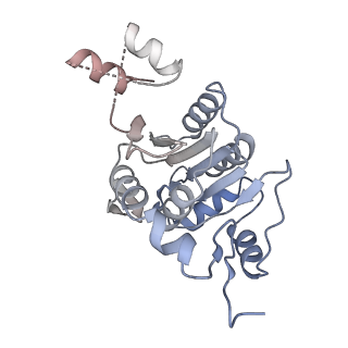 19023_8ras_Q_v1-1
Plastid-encoded RNA polymerase transcription elongation complex