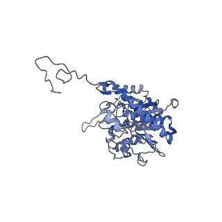 19023_8ras_S_v1-1
Plastid-encoded RNA polymerase transcription elongation complex
