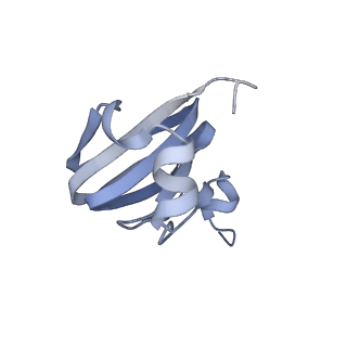 19023_8ras_T_v1-1
Plastid-encoded RNA polymerase transcription elongation complex