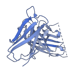 24334_7ra3_E_v1-0
cryo-EM of human Gastric inhibitory polypeptide receptor GIPR bound to GIP