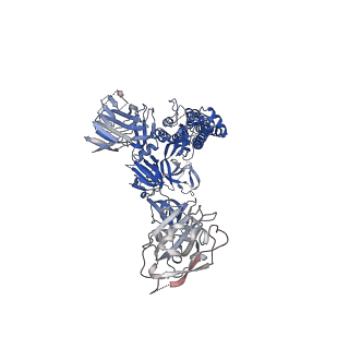 24347_7ra8_A_v1-1
SARS-CoV-2 S glycoprotein in complex with S2X259 Fab