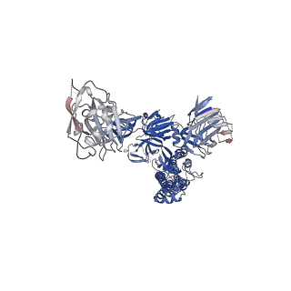 24347_7ra8_B_v1-1
SARS-CoV-2 S glycoprotein in complex with S2X259 Fab