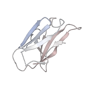 24347_7ra8_G_v1-1
SARS-CoV-2 S glycoprotein in complex with S2X259 Fab