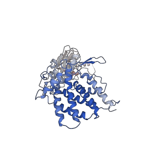 24363_7rak_A_v1-1
Methanococcus maripaludis chaperonin complex in open conformation