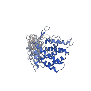 24363_7rak_B_v1-1
Methanococcus maripaludis chaperonin complex in open conformation