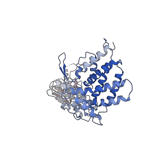 24363_7rak_C_v1-1
Methanococcus maripaludis chaperonin complex in open conformation