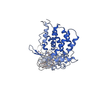 24363_7rak_D_v1-1
Methanococcus maripaludis chaperonin complex in open conformation