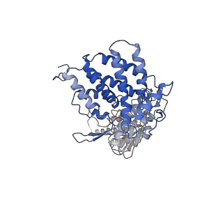 24363_7rak_E_v1-1
Methanococcus maripaludis chaperonin complex in open conformation