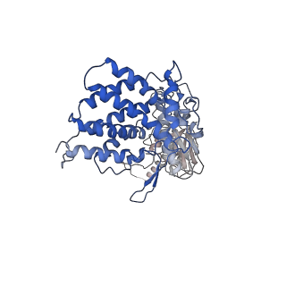 24363_7rak_F_v1-1
Methanococcus maripaludis chaperonin complex in open conformation