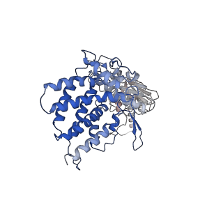 24363_7rak_G_v1-1
Methanococcus maripaludis chaperonin complex in open conformation