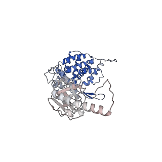 24363_7rak_I_v1-1
Methanococcus maripaludis chaperonin complex in open conformation