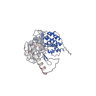24363_7rak_J_v1-1
Methanococcus maripaludis chaperonin complex in open conformation