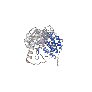 24363_7rak_K_v1-1
Methanococcus maripaludis chaperonin complex in open conformation