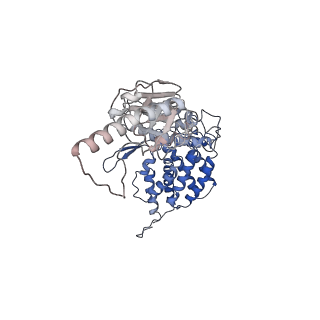 24363_7rak_L_v1-1
Methanococcus maripaludis chaperonin complex in open conformation