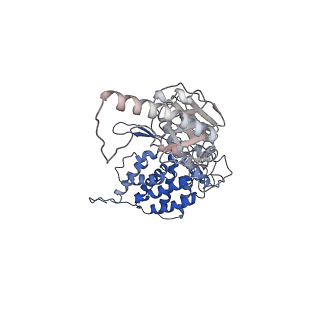 24363_7rak_M_v1-1
Methanococcus maripaludis chaperonin complex in open conformation