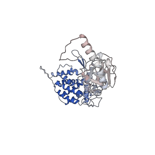 24363_7rak_N_v1-1
Methanococcus maripaludis chaperonin complex in open conformation