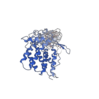 24363_7rak_U_v1-1
Methanococcus maripaludis chaperonin complex in open conformation