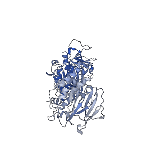 24369_7ram_A_v1-0
Cryo-EM Structure of the HCMV gHgLgO Trimer Derived from AD169 and TR strains in complex with PDGFRalpha