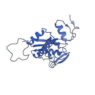 24369_7ram_B_v1-0
Cryo-EM Structure of the HCMV gHgLgO Trimer Derived from AD169 and TR strains in complex with PDGFRalpha