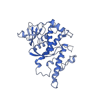 24369_7ram_C_v1-0
Cryo-EM Structure of the HCMV gHgLgO Trimer Derived from AD169 and TR strains in complex with PDGFRalpha