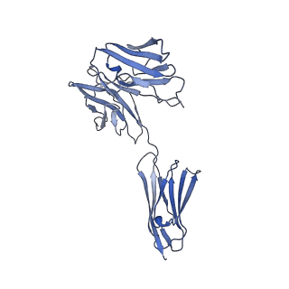 24369_7ram_D_v1-0
Cryo-EM Structure of the HCMV gHgLgO Trimer Derived from AD169 and TR strains in complex with PDGFRalpha