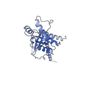 24378_7ran_B_v1-2
5-HT2AR bound to a novel agonist in complex with a mini-Gq protein and an active-state stabilizing single-chain variable fragment (scFv16) obtained by cryo-electron microscopy (cryoEM)