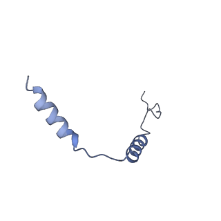 24378_7ran_D_v1-2
5-HT2AR bound to a novel agonist in complex with a mini-Gq protein and an active-state stabilizing single-chain variable fragment (scFv16) obtained by cryo-electron microscopy (cryoEM)