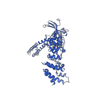 24385_7ras_B_v1-2
Structure of TRPV3 in complex with osthole
