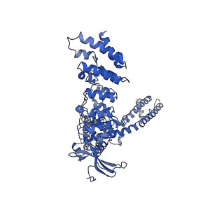 24385_7ras_D_v1-2
Structure of TRPV3 in complex with osthole