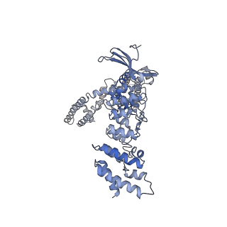24386_7rau_B_v1-2
Structure of TRPV3 in complex with osthole