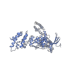 24386_7rau_C_v1-2
Structure of TRPV3 in complex with osthole