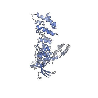 24386_7rau_D_v1-2
Structure of TRPV3 in complex with osthole