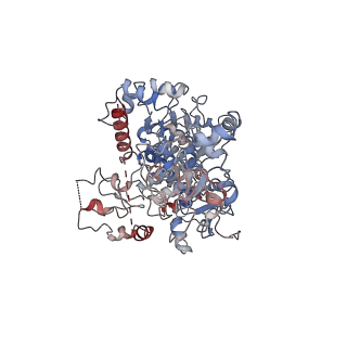 24387_7rav_A_v1-2
Cryo-EM structure of the unliganded form of NLR family apoptosis inhibitory protein 5 (NAIP5)