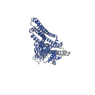 4775_6rah_A_v1-3
Heterodimeric ABC exporter TmrAB in ATP-bound outward-facing open conformation