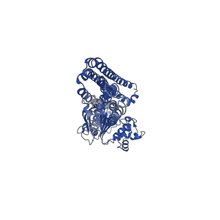 4778_6rak_A_v1-3
Heterodimeric ABC exporter TmrAB in vanadate trapped outward-facing occluded conformation