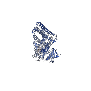 4780_6ram_A_v1-3
Heterodimeric ABC exporter TmrAB under turnover conditions in asymmetric unlocked return conformation with wider opened intracellular gate