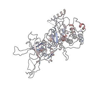 4785_6raw_2_v1-1
D. melanogaster CMG-DNA, State 1A