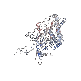 4785_6raw_5_v1-1
D. melanogaster CMG-DNA, State 1A