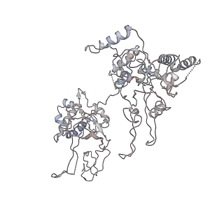 4785_6raw_6_v1-1
D. melanogaster CMG-DNA, State 1A