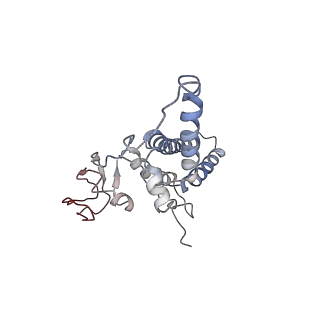 4785_6raw_N_v1-1
D. melanogaster CMG-DNA, State 1A