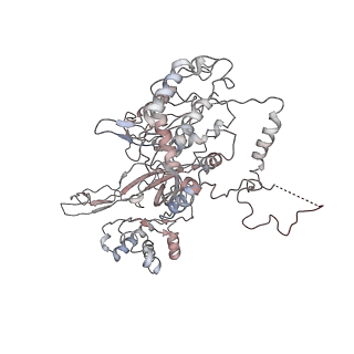 4786_6rax_3_v1-1
D. melanogaster CMG-DNA, State 1B